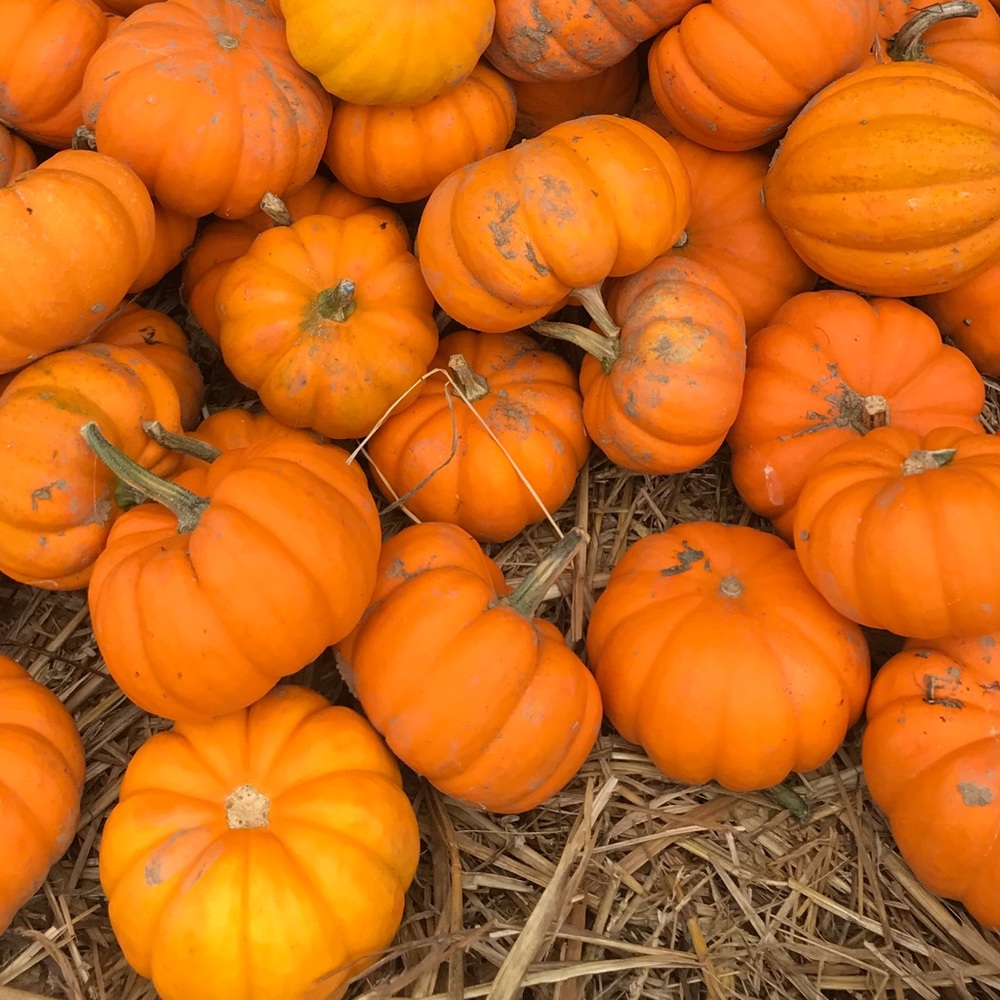 Meet your Posher, Aaliyah